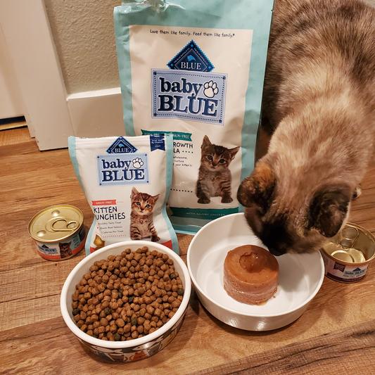 Blue buffalo kitten wet food clearance reviews