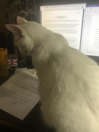 Dot is inspecting my math homework for a class I'm taking