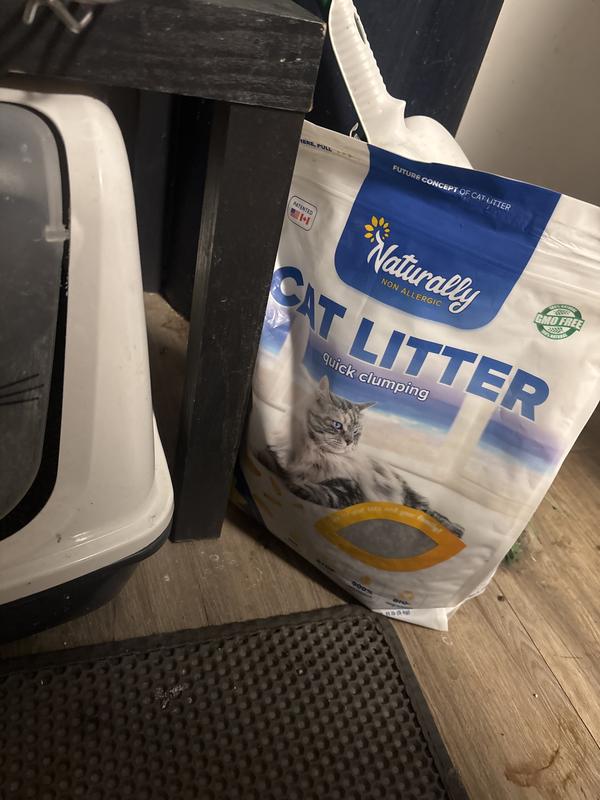 NATURALLY NON ALLERGIC Quick Clumping Cat Litter, 11-lb bag - Chewy.com