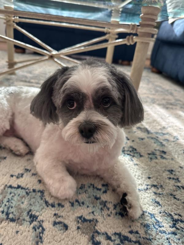 Well, when are you going to get off your IPad!