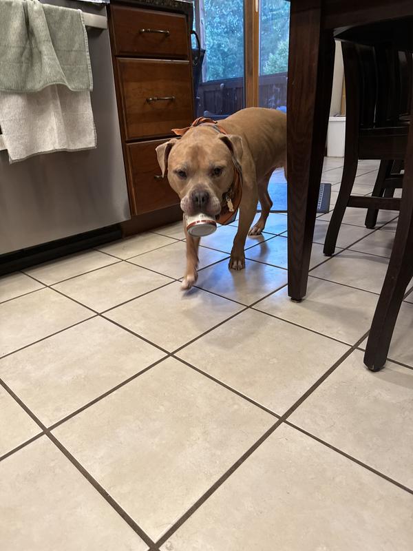 We need to catch him 😂