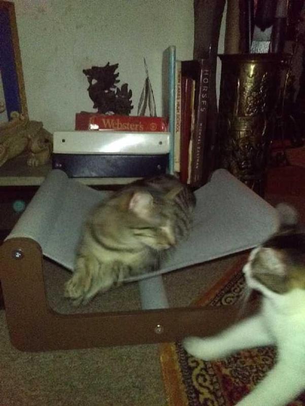 Popeye claimed it that is why I had to purchase another one