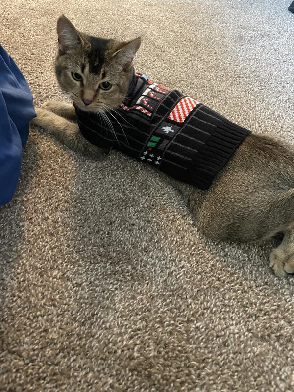 Star wars cat sweater
