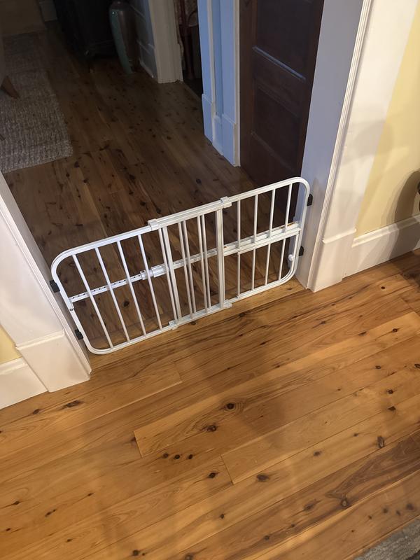 Keeping puppy in close proximity to us