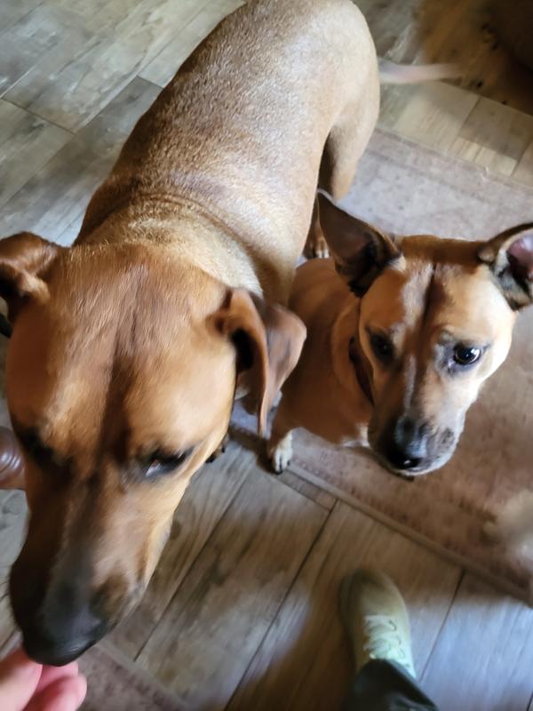 He snatched it up before I could get a picure