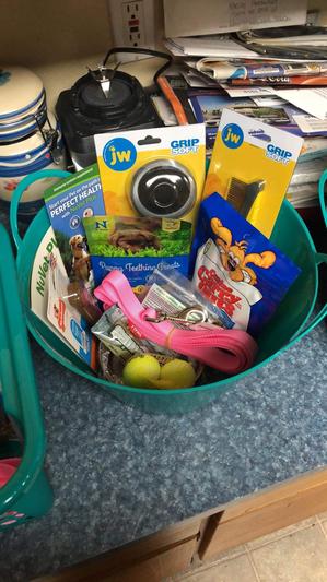 Picture of some of our puppy pack pieces including the JW brushes and comb!