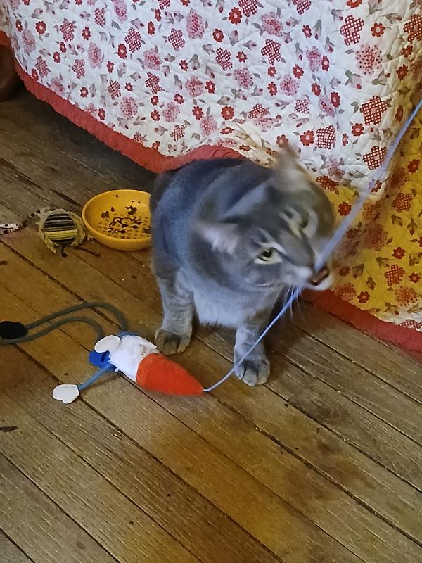 He played with on floor but not when up in air