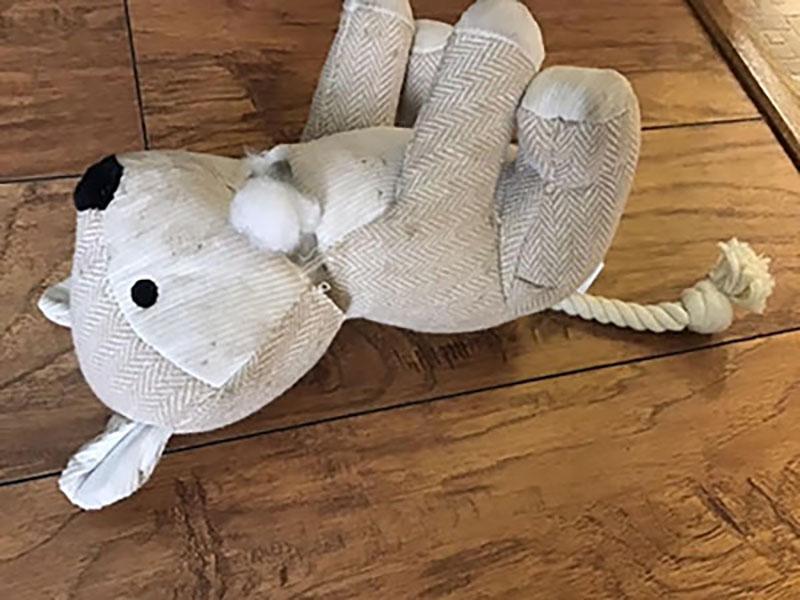 nearly decapitated within minutes :(