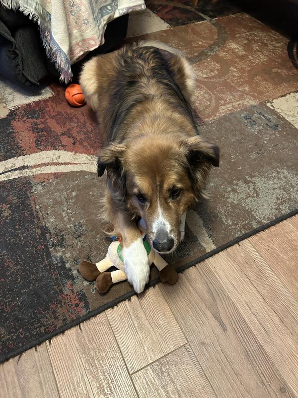 Protecting his plush toy