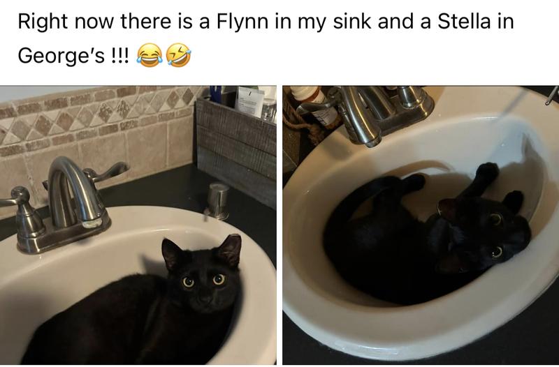 Fynn & Stella