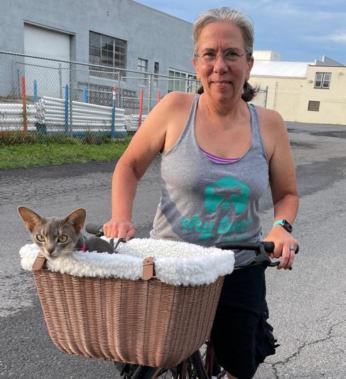 Cat bicycle cheap basket