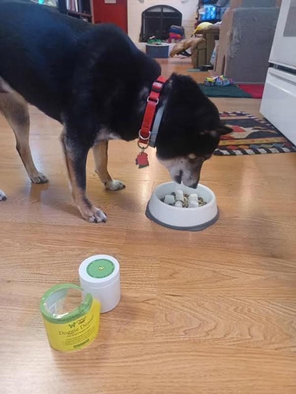 Soren tried the powder form and liked it. I thought the liquid might be easier to eat so I began feeding it that way and he didn't complain either way.