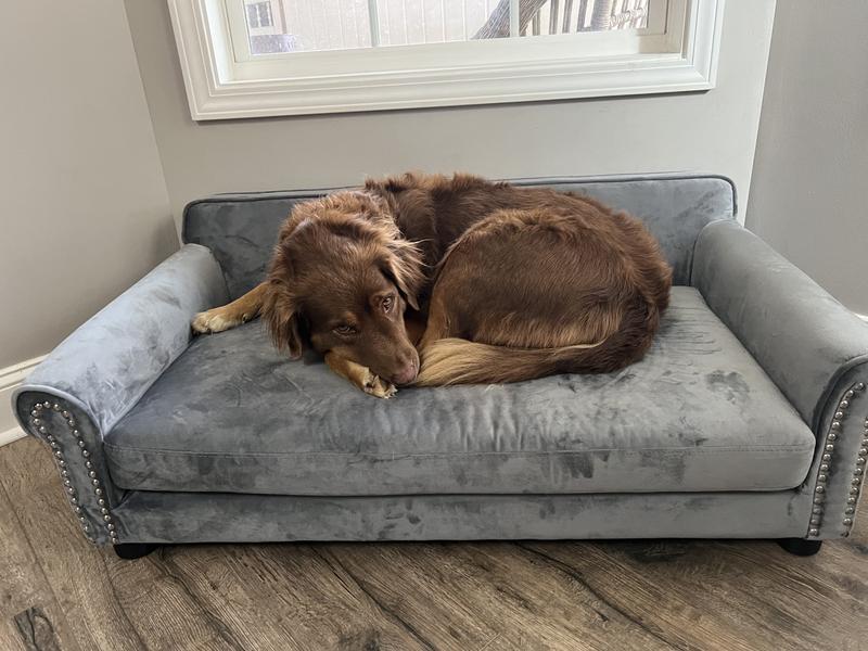 FRISCO Sofa Pet Bed with Removable Cover, Gray, Medium