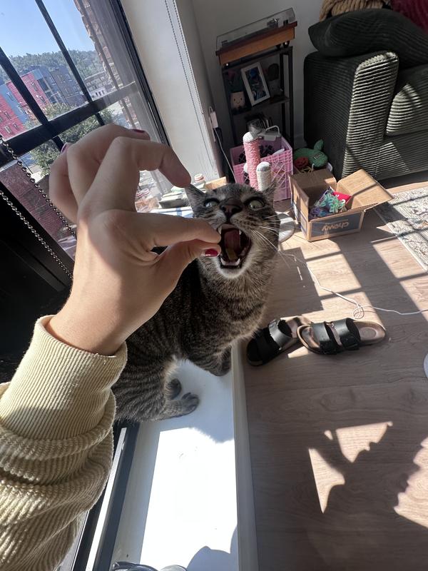 Product Reviews for TINY TIGER Catnip Craze Flavor Filled Crunchy