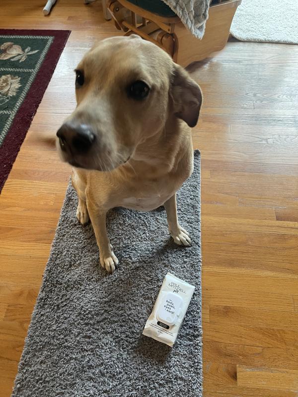 Please, one more quick wipe!