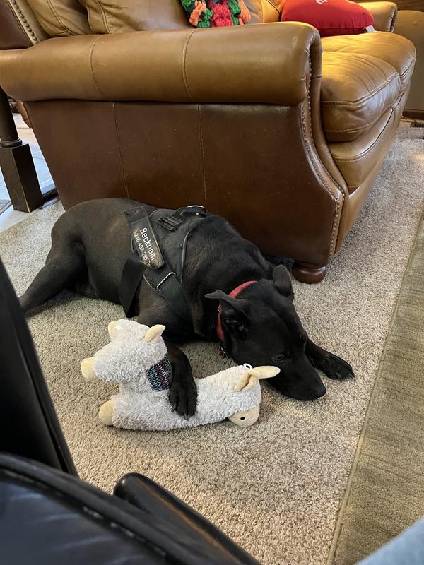 Beckham with his best friend Gregory!