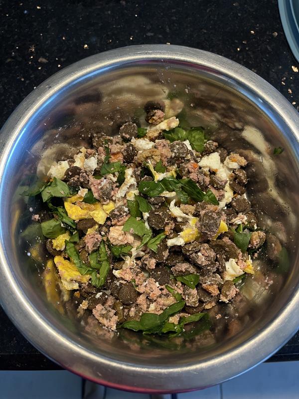 Milly’s dinner with fresh pet, a boiled egg and some fresh spinach