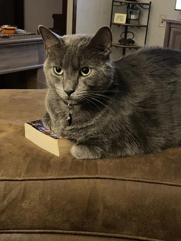 Waiting for my dental treats.