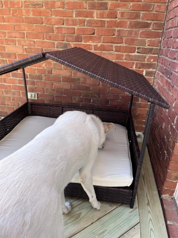 Large Dog sniffing it. Plenty of room for sitting and laying.