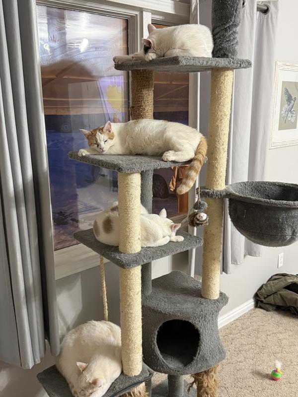 Exhausted after playing chase