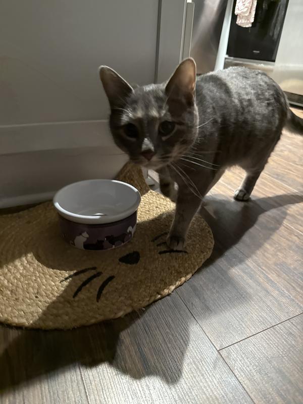 Hazel looking for more!