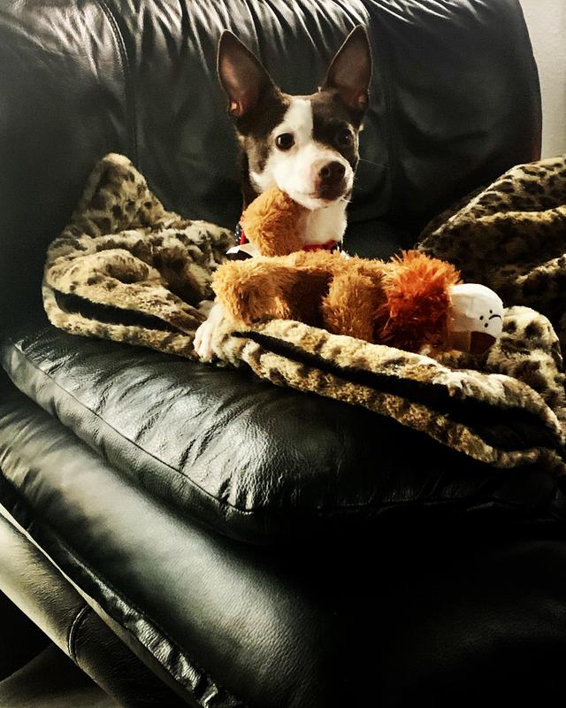 Maple sugar with her king toy