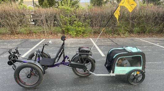 Retrospec Rover Hauler Pet Bike Trailer - Small & Medium Sized Dogs Bicycle  Carrier - Foldable Frame with 16 Inch Wheels - Non-Slip Floor & Internal  Leash - Blue Ridge, One Size