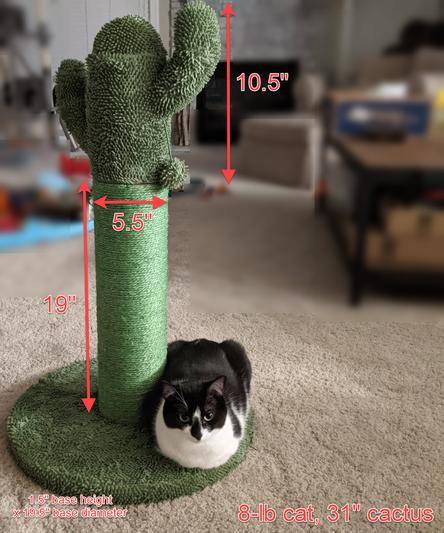 FRISCO Cactus Cat Scratching Post, 31-in - Chewy.com
