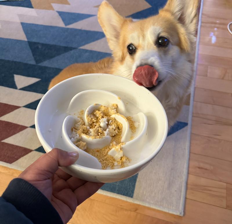 My dog mouths watering