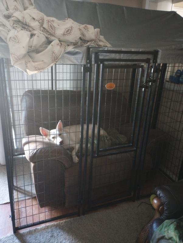 KENNELMASTER Vinyl Coated Welded Wire Boxed Dog Kennel, Black, 6ft x 4