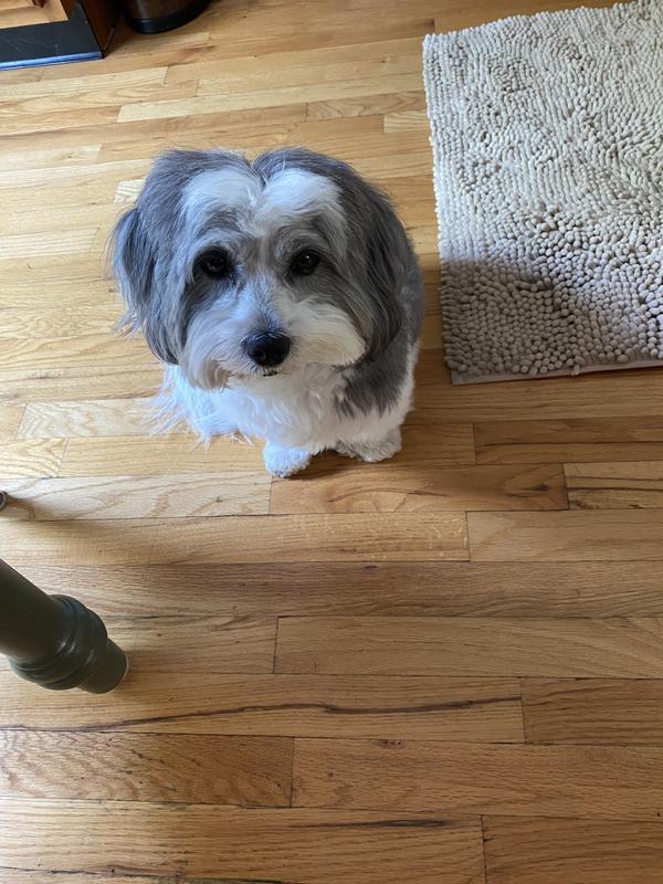 “Let’s go for a walk “!!!