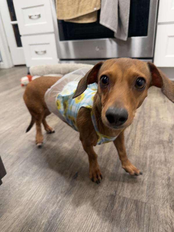 It flipped up a bit just b/c it is the XS and I should have ordered a S.