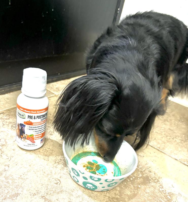 Licks his bowl clean!