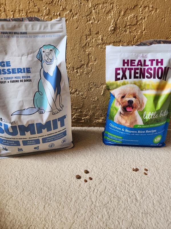 Petcurean dog food review hotsell