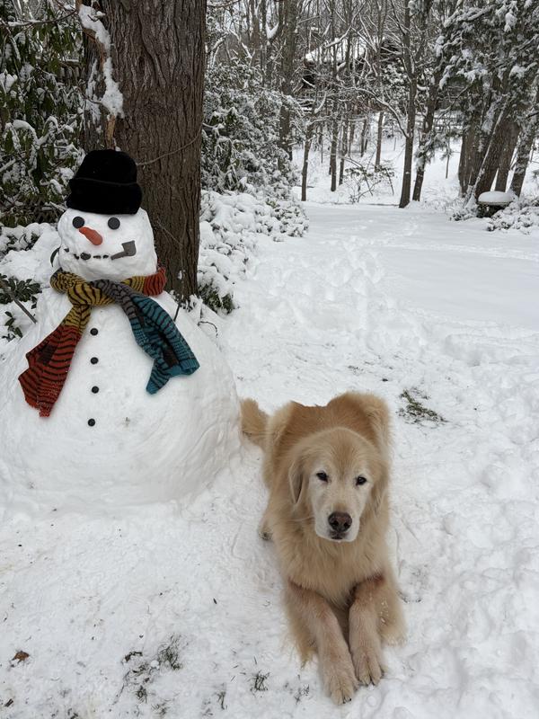 Playing in the recent snow storm ❤️