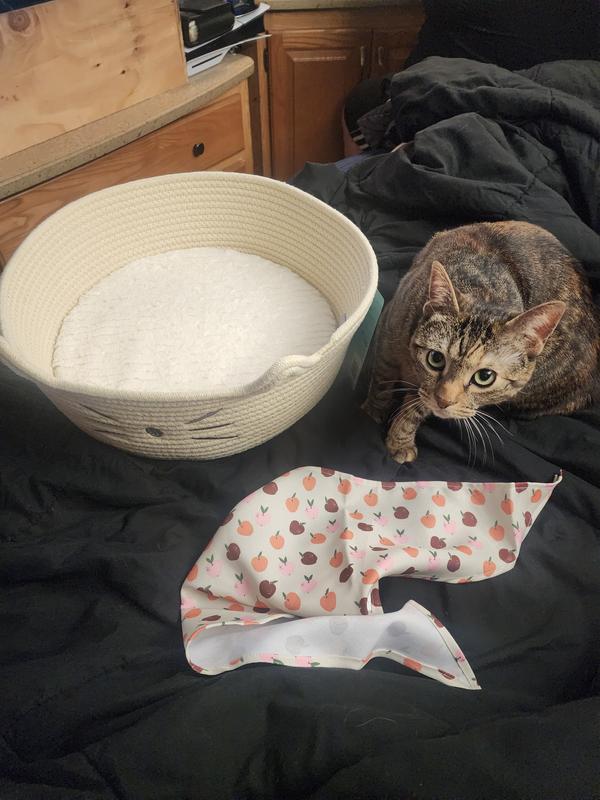 My kitty enjoyed checking out the bandana and getting to be the first to try it on.