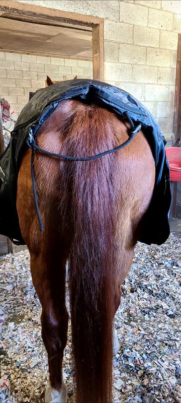 Ample tail cord length