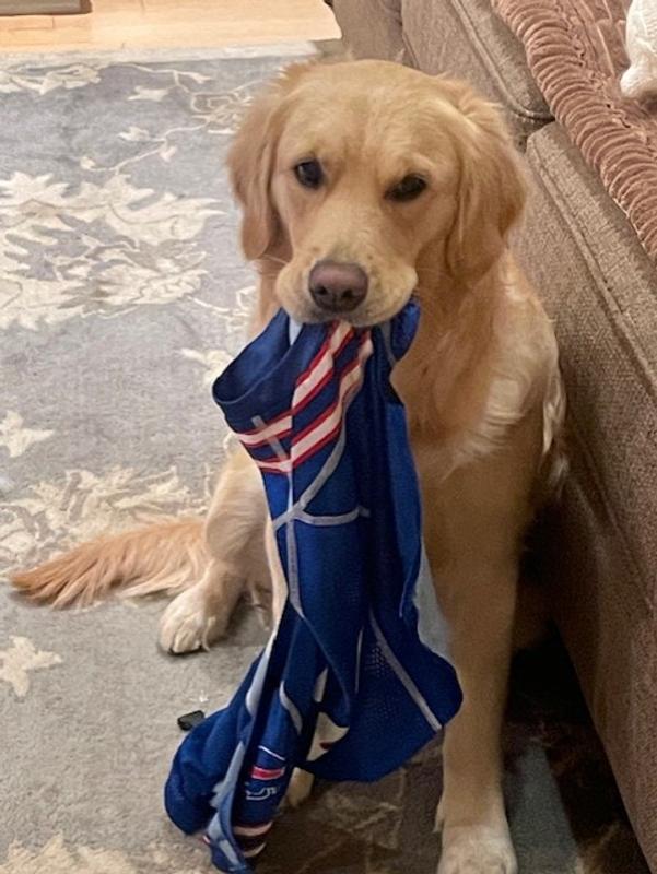 Go Bills!   Maybe I will just hold Bills Jersey in my mouth and not wear it !!!