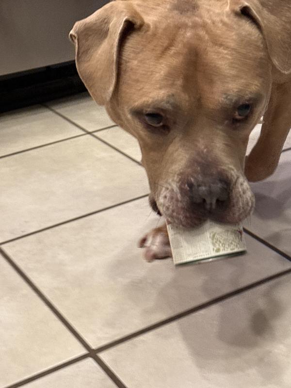 Titan can’t wait !