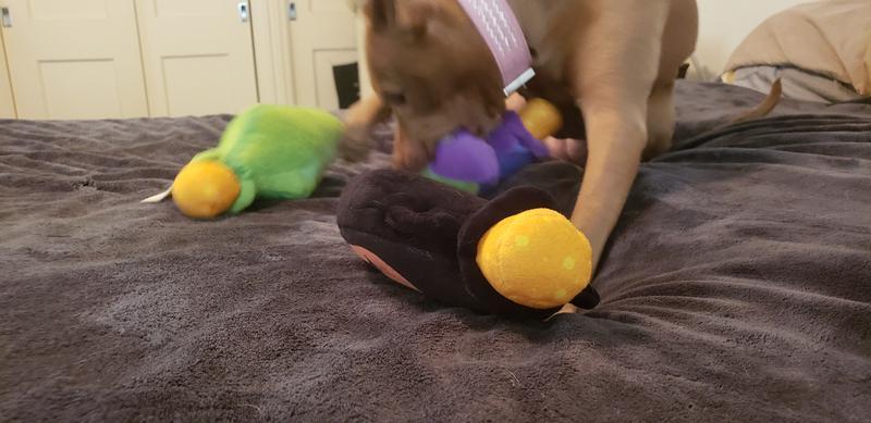 Super Glad LuLu Liked Them All
