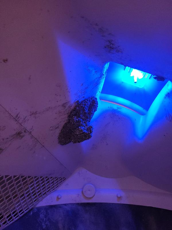 SCOOP AWAY Unscented Clumping Clay Cat Litter, 25lb box