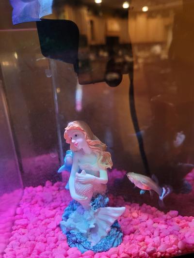 Princess Guppy