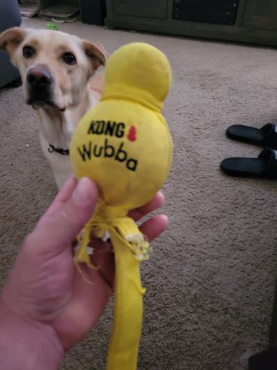 Kong wet wubba large best sale