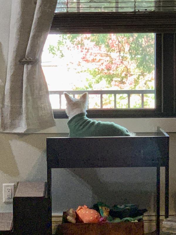 Watching the world go by!