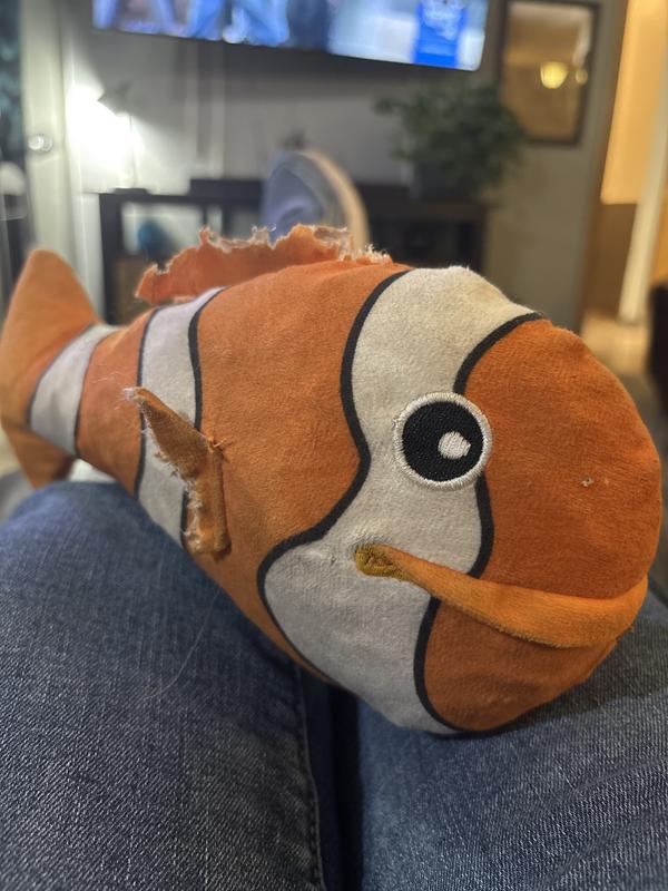 Nemo has a bad fin.