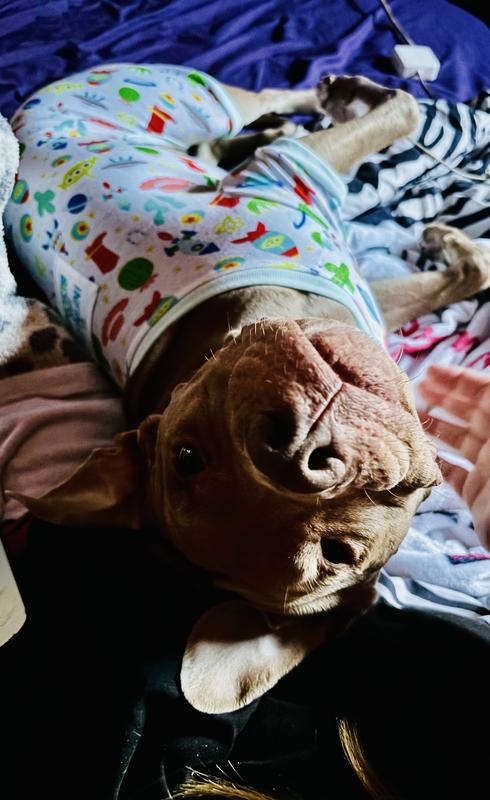 Pixar Toy Story "To Infinity & Beyond" Dog & Cat Jersey PJs