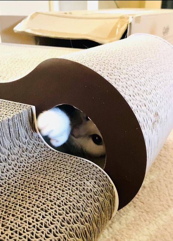 Kitty approved!
