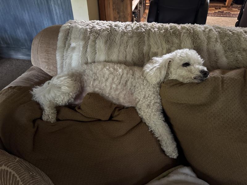 Chillin with no itch
