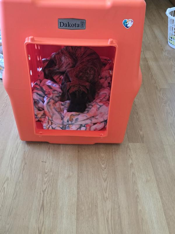 Product Reviews for DAKOTA 283 Rough & Tough Economy Dog Kennel