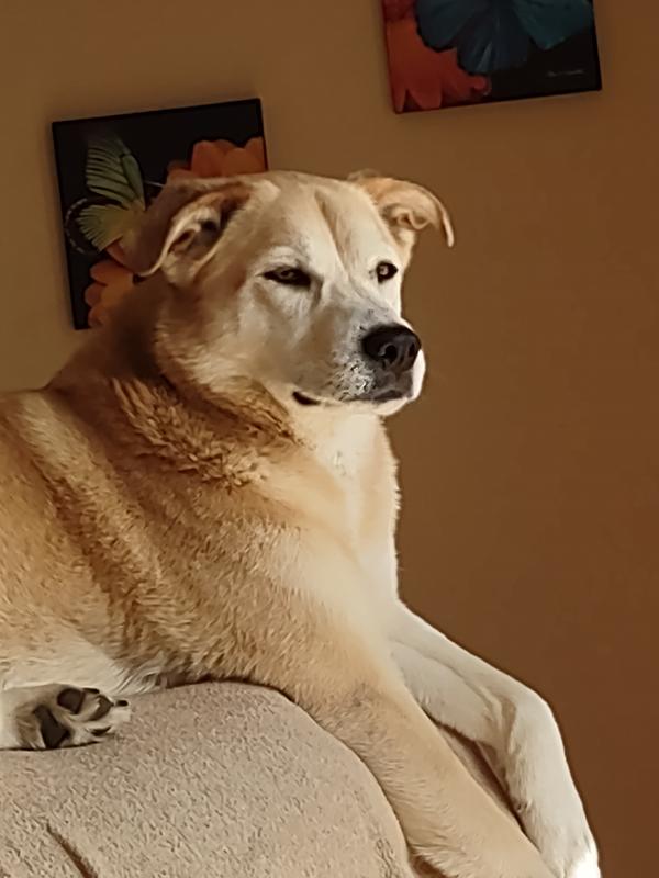 My girl Spirit~~Queen of our manor